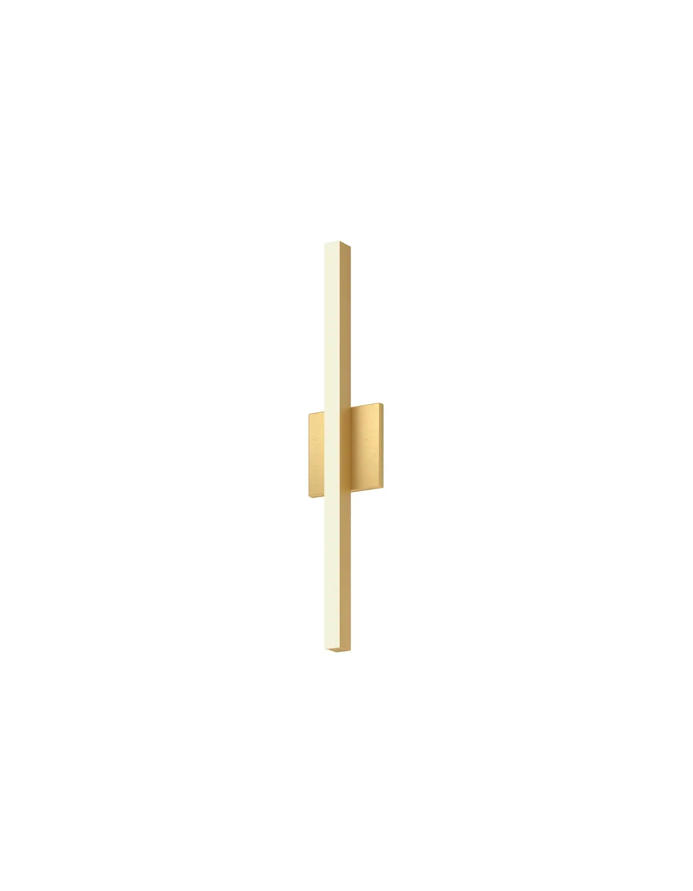 Vega 24